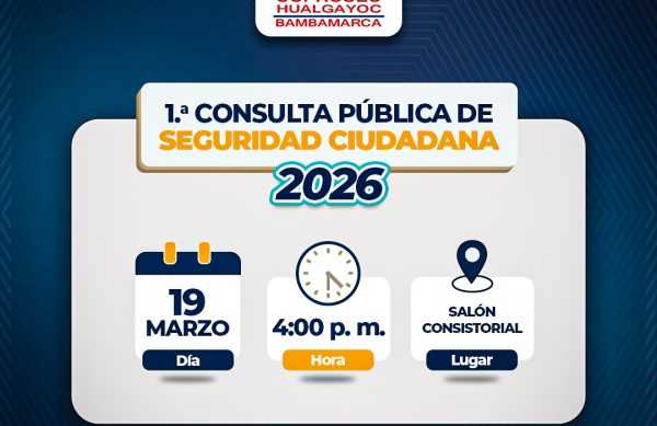 consulta publica 2026