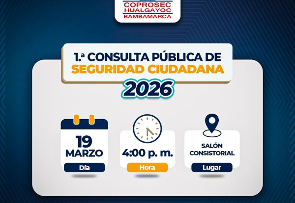 consulta publica 2026